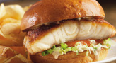 Grilled Fish