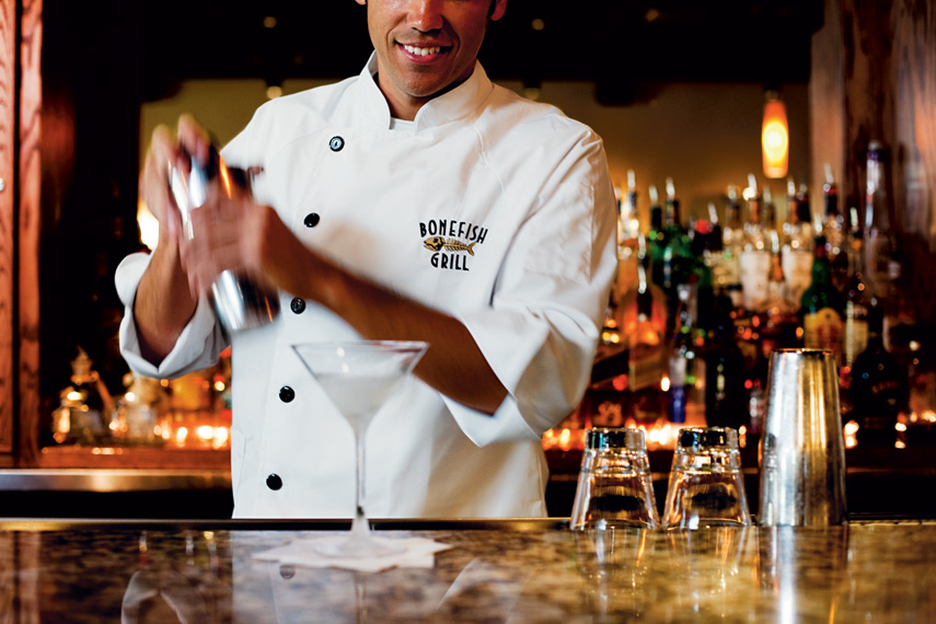 Experience the Bar