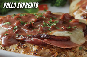 Pollo