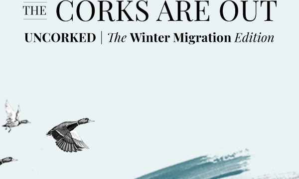 The Corks Are Out - Uncorked | The Winter Migration Edition