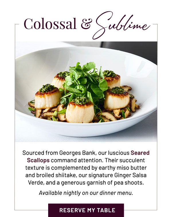 Sourced from Georges Bank, our luscious Seared  Scallops command attention. Their succulent  texture is complemented by earthy miso butter  and broiled shiitake, our signature Ginger Salsa  Verde, and a generous garnish of pea shoots. Available nightly on our dinner menu.