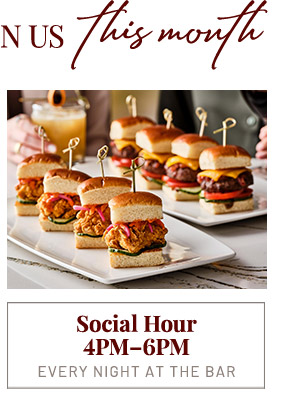 Social Hour 4PM - 6PM