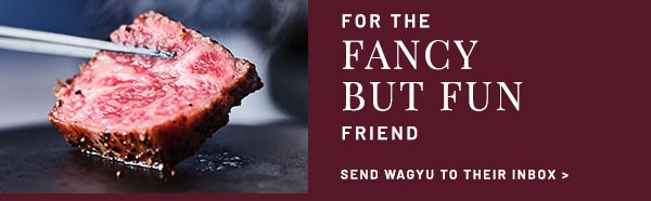 For The Fancy But Fun Friend